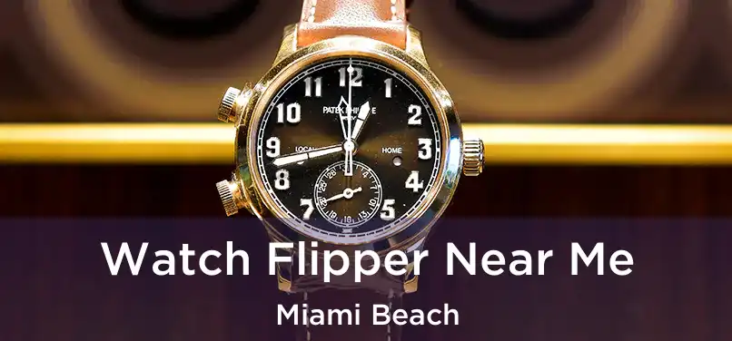 Watch Flipper Near Me Miami Beach